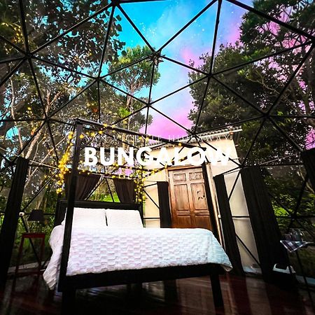 Hotel San Vicente Hideaway Quesada  Екстер'єр фото